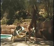 German anal on the beach