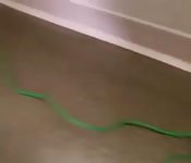 Peituda seduzindo o funcionário da internet