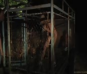 Uma seção de BDSM bem européia