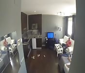 Latina grossa com buceta fodida